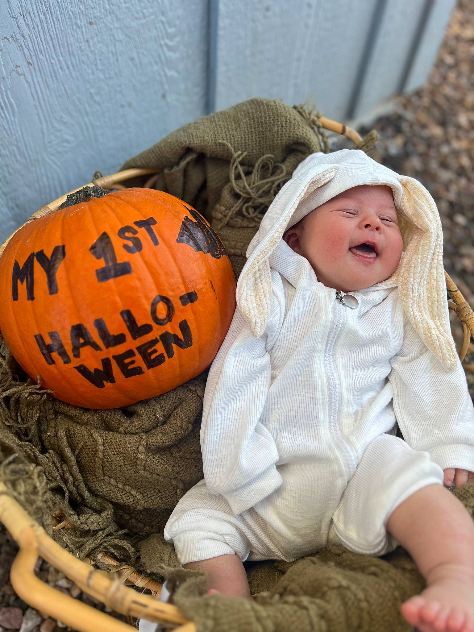 Maddie joined the competition — help win amazing prizes! baby, calabaza, cap, child, comfort, cucurbita, fur, gourd, grass, happy, hat, headgear, headwear, orange, person, plant, pumpkin, sitting, squash, toddler