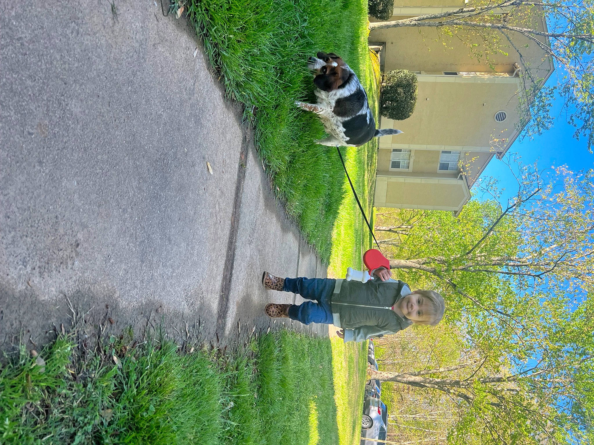 Royal is registered to the contest to win money with this photo: asphalt, dog, grass, joy, landscape, leisure, people_in_nature, person, plant, pole, public_utility, recreation, reflection, road, shadow, shrub, sidewalk, sky, slope, tree
