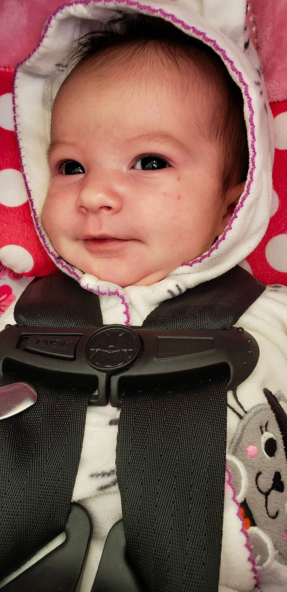 Haizlee is registered to the contest to win money with this photo: baby, baby_carriage, baby_in_car_seat, baby_products, car_seat, cheek, child, face, head, lip, neck, nose, pattern, person, pink, product, skin, smile, toddler