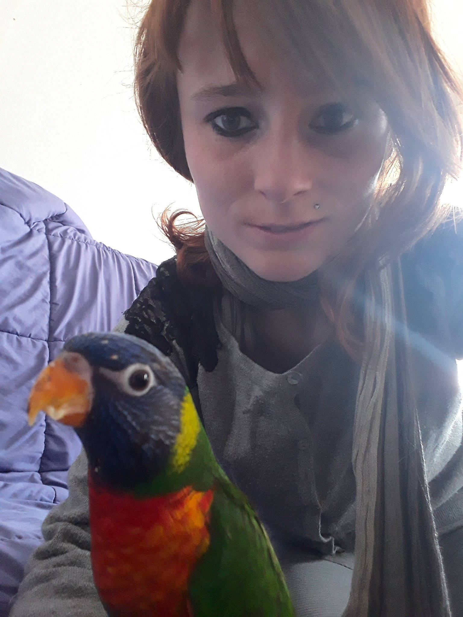 Blue participe au concours pour gagner de l'argent avec cette photo : adaptation, beak, beauty, bird, budgie, cool, eye, feather, iris, lorikeet, lovebird, macaw, neck, organ, organism, parakeet, parrot, person, photography, selfie