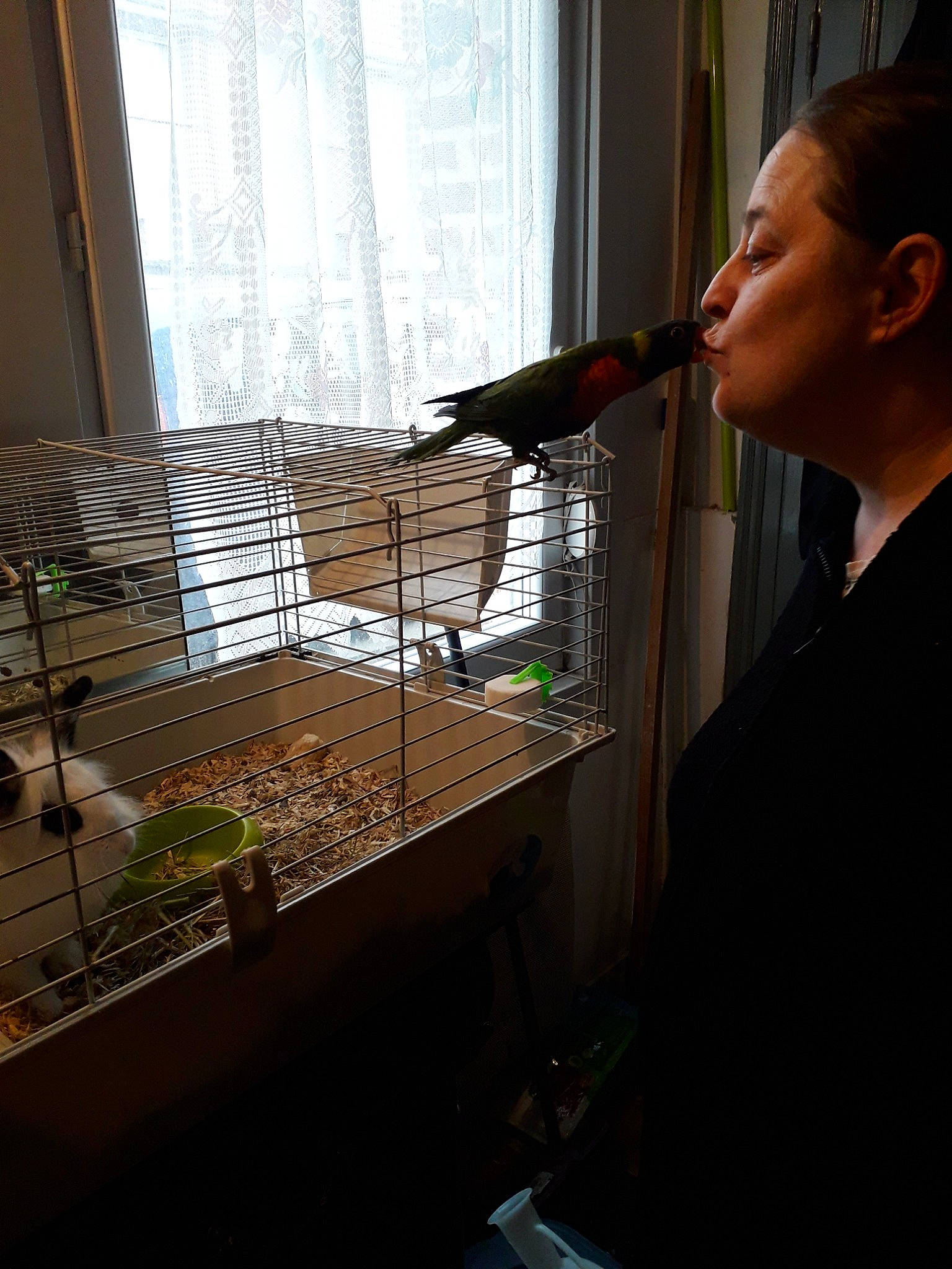 Blue a rejoint le concours — aidez-le/la à gagner de superbes lots ! drink, glass, house, person, window