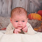 Amir a rejoint le concours — aidez-le/la à gagner de superbes lots ! baby, infant, blanket, sweater, face, autumn, pumpkin, fall_leaves, orange, wood_background, cute, portrait, child, indoors, seasonal, cozy, holiday, expression, hands, soft_texture