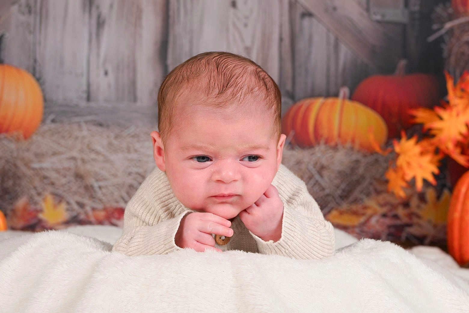 Amir a rejoint le concours — aidez-le/la à gagner de superbes lots ! baby, infant, blanket, sweater, face, autumn, pumpkin, fall_leaves, orange, wood_background, cute, portrait, child, indoors, seasonal, cozy, holiday, expression, hands, soft_texture