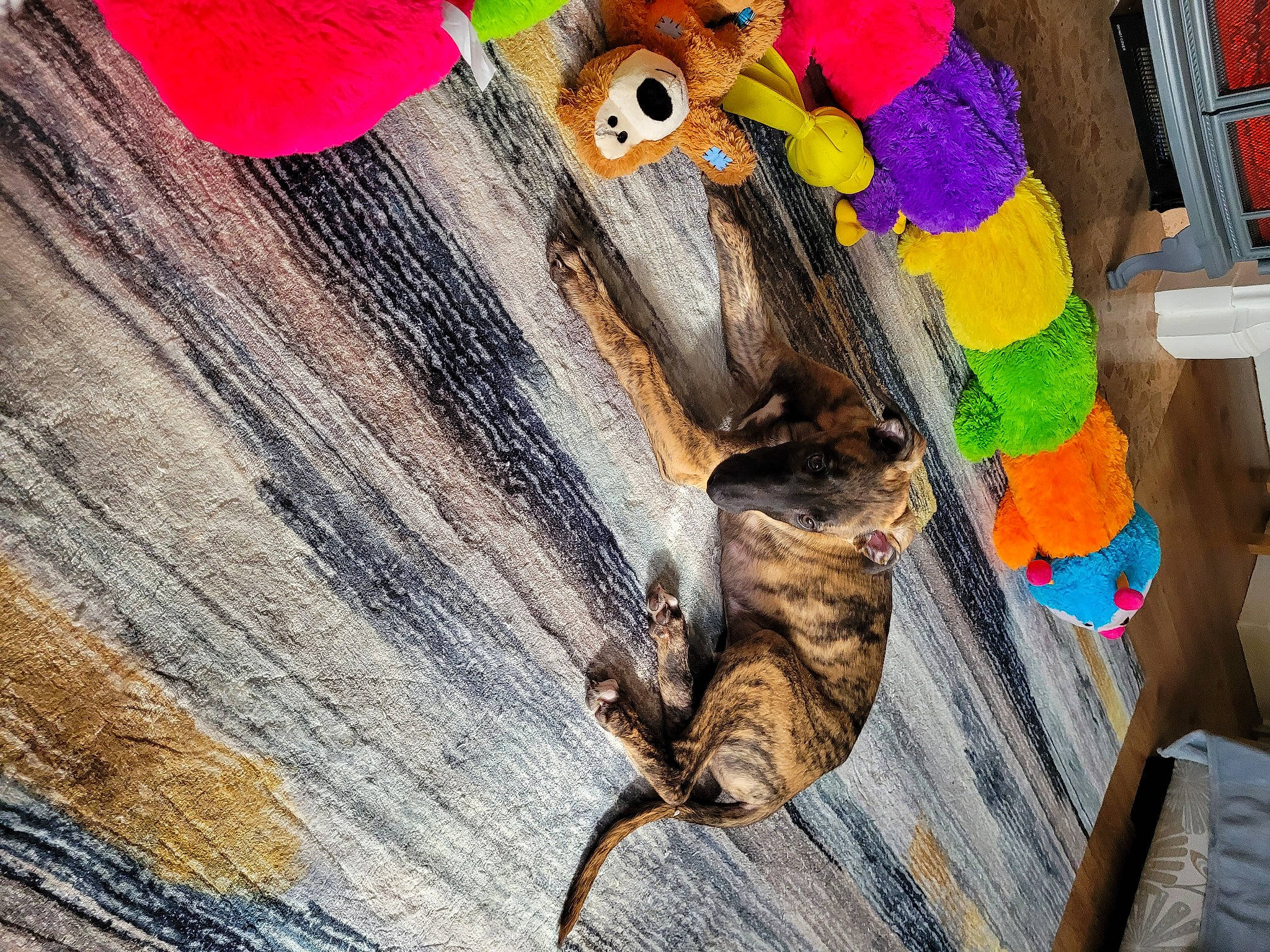 Marty joined the competition — help win amazing prizes! art, craft, felidae, flooring, fur, illustration, linens, magenta, paint, painting, pattern, stuffed_toy, tail, thread, toy, trunk, visual_arts, wood, wool, woolen