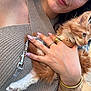 bracelet, cat, close_up, curious, cute, furry, hand, holding, jewelry, kitten, knitted_top, leash, nails, orange_cat, outdoor, person, pet, rings, soft_light, white_paw