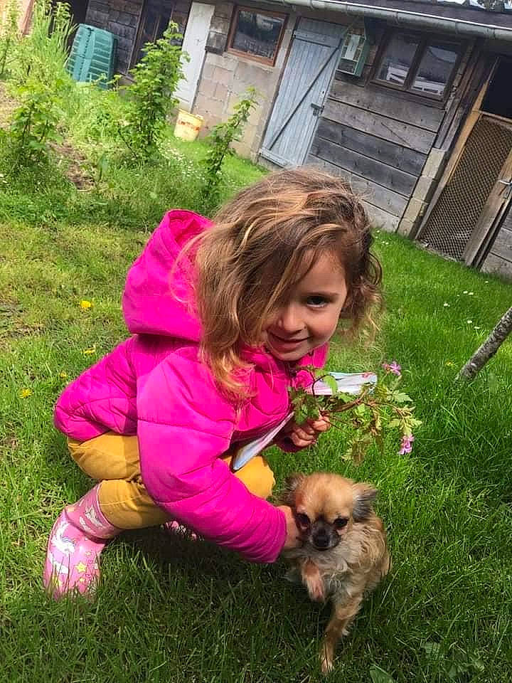 Clemence a rejoint le concours — aidez-le/la à gagner de superbes lots ! annual_plant, carnivore, companion_dog, dog, dog_breed, fawn, flower, garden, grass, happy, house, joy, lawn, people_in_nature, person, plant, shrub, smile, sunglasses, terrier