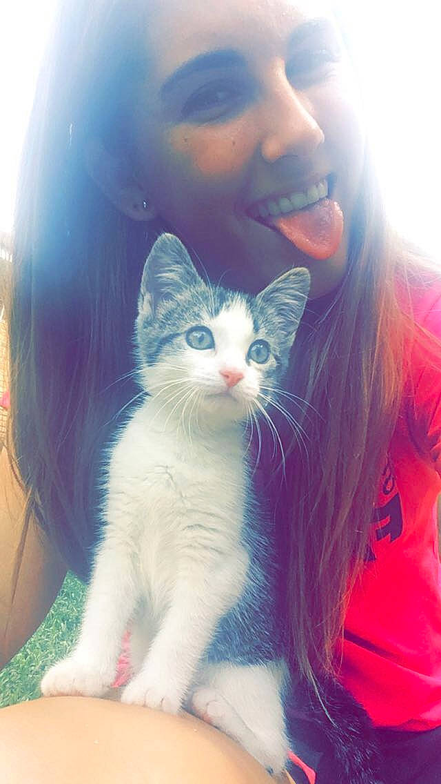 Pebbles joined the competition — help win amazing prizes! carnivoran, cat, cat_like_mammal, domestic_short_haired_cat, ear, eye, face, girl, iris, kitten, lip, mammal, neck, nose, organ, person, pink, skin, small_to_medium_sized_cats, vertebrate