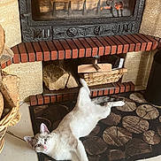 Arès participe au concours pour gagner de l'argent avec cette photo : cat, fireplace, fire, flames, wood, log, rug, tile_floor, basket, cozy, warm, relaxed, stretching, indoor, home, pet, animal, curious, comfort, decor