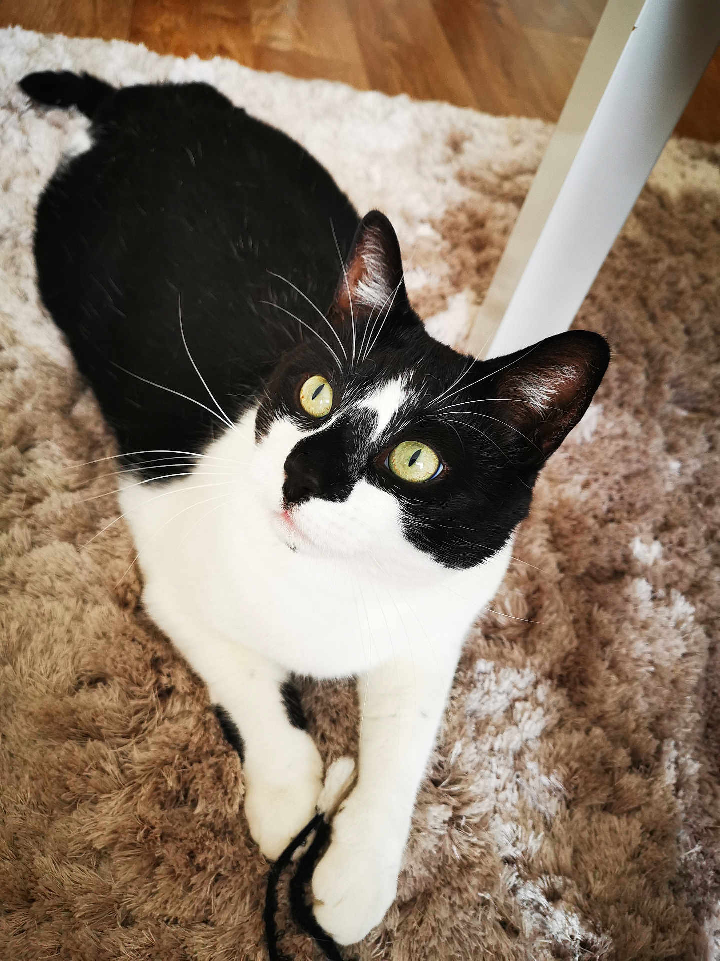 Luna