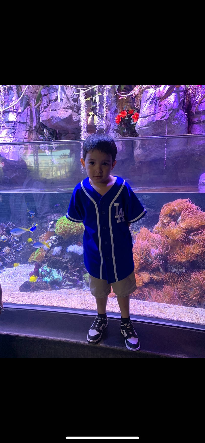 Santiago is registered to the contest to win money with this photo: aquarium, electric_blue, entertainment, event, fish, fun, leisure, marine_biology, natural_environment, organism, person, pink, plant, purple, recreation, reef, t_shirt, toddler, vacation, water