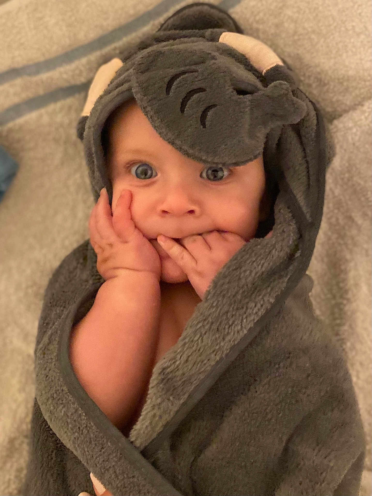 Elio participe au concours pour gagner de l'argent avec cette photo : baby, child, face, hands, towel, elephant, hood, blue_eyes, cute, wrapped, blanket, soft, skin, indoor, portrait, infant, expression, closeup, cozy, warm