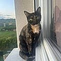 Maelys B.