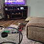 dog, living_room, rug, toy, glass_table, remote_control, tv, animation, wood_floor, ottoman, couch, decor, indoor, pet, happy, playful, relaxing, smiling_dog, furniture, home