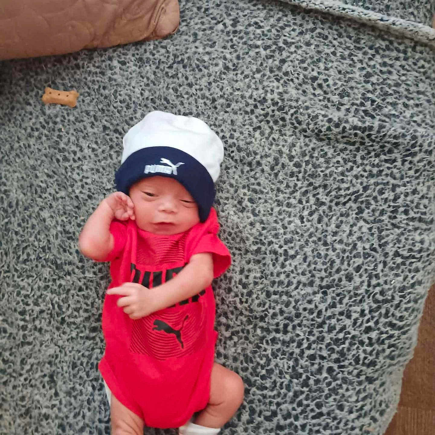 Paxston is registered to the contest to win money with this photo: baby, blanket, cozy, cute, dog_bone_treat, floor, hat, indoors, infant, lying_down, newborn, pattern, person, puma, red_clothing, resting, sleepy, small, sock, soft_texture