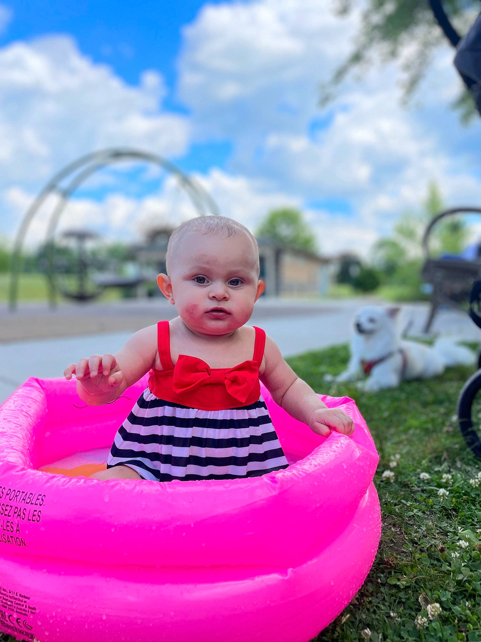 Jacie joined the competition — help win amazing prizes! baby, baby_toddler_clothing, bicycle_wheel, blue, child, cloud, dress, fun, grass, happy, leisure, magenta, outdoor_recreation, person, pink, recreation, sitting, sky, tire, toddler