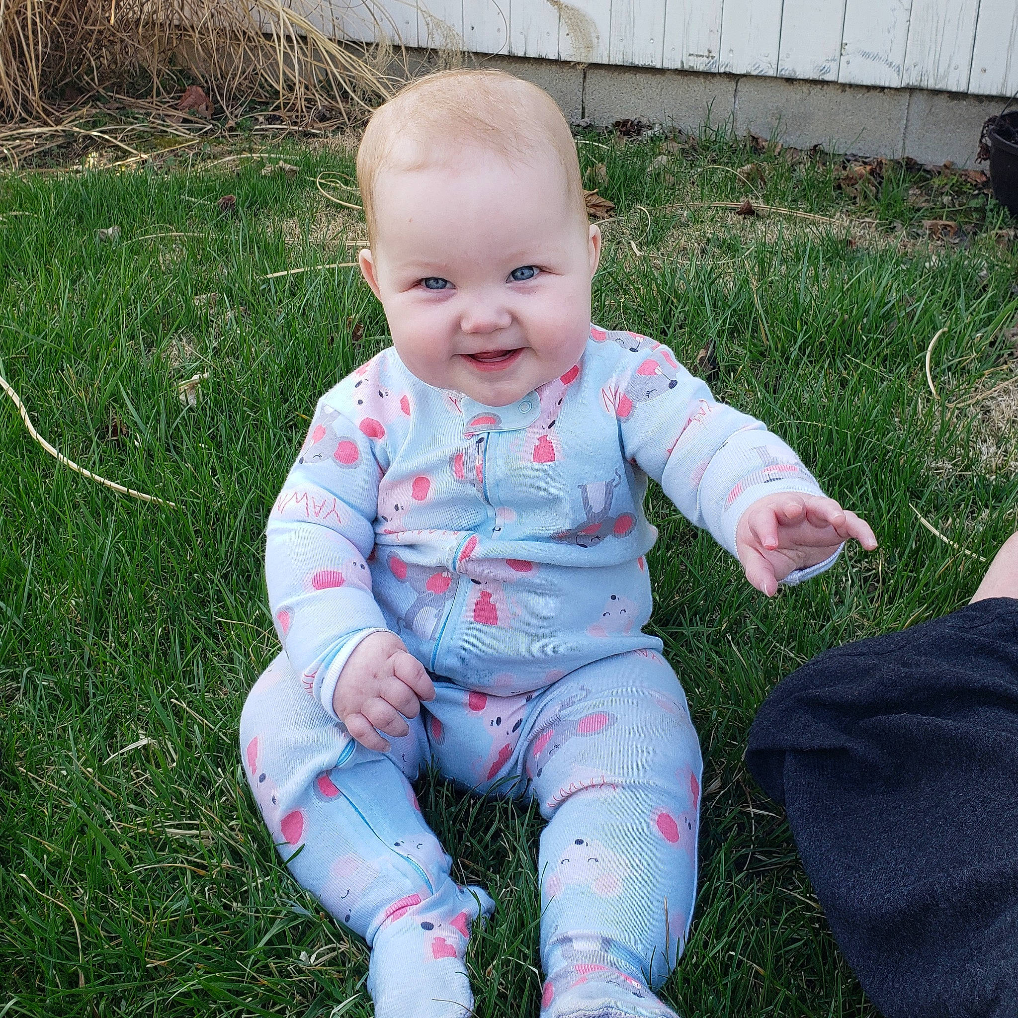 Juniper is registered to the contest to win money with this photo: baby, baby_toddler_clothing, cheek, child, eye, fun, garden, gesture, grass, grass_family, happy, joy, lawn, meadow, people, people_in_nature, person, plant, sitting, sleeve