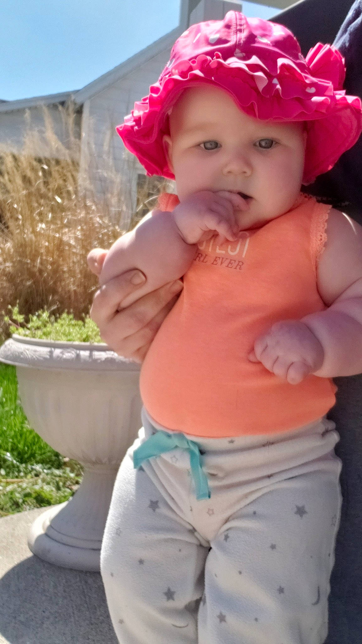 Juniper is registered to the contest to win money with this photo: baby, baby_toddler_clothing, beauty, cap, chest, child, face, flowerpot, hairstyle, happy, head, headpiece, headwear, navel, person, photograph, pink, plant, stomach, sun_hat