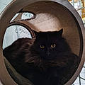 Lucie D. T.