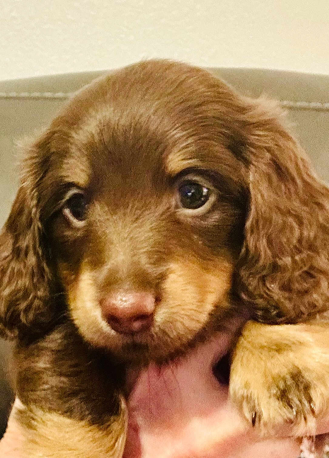 Coco