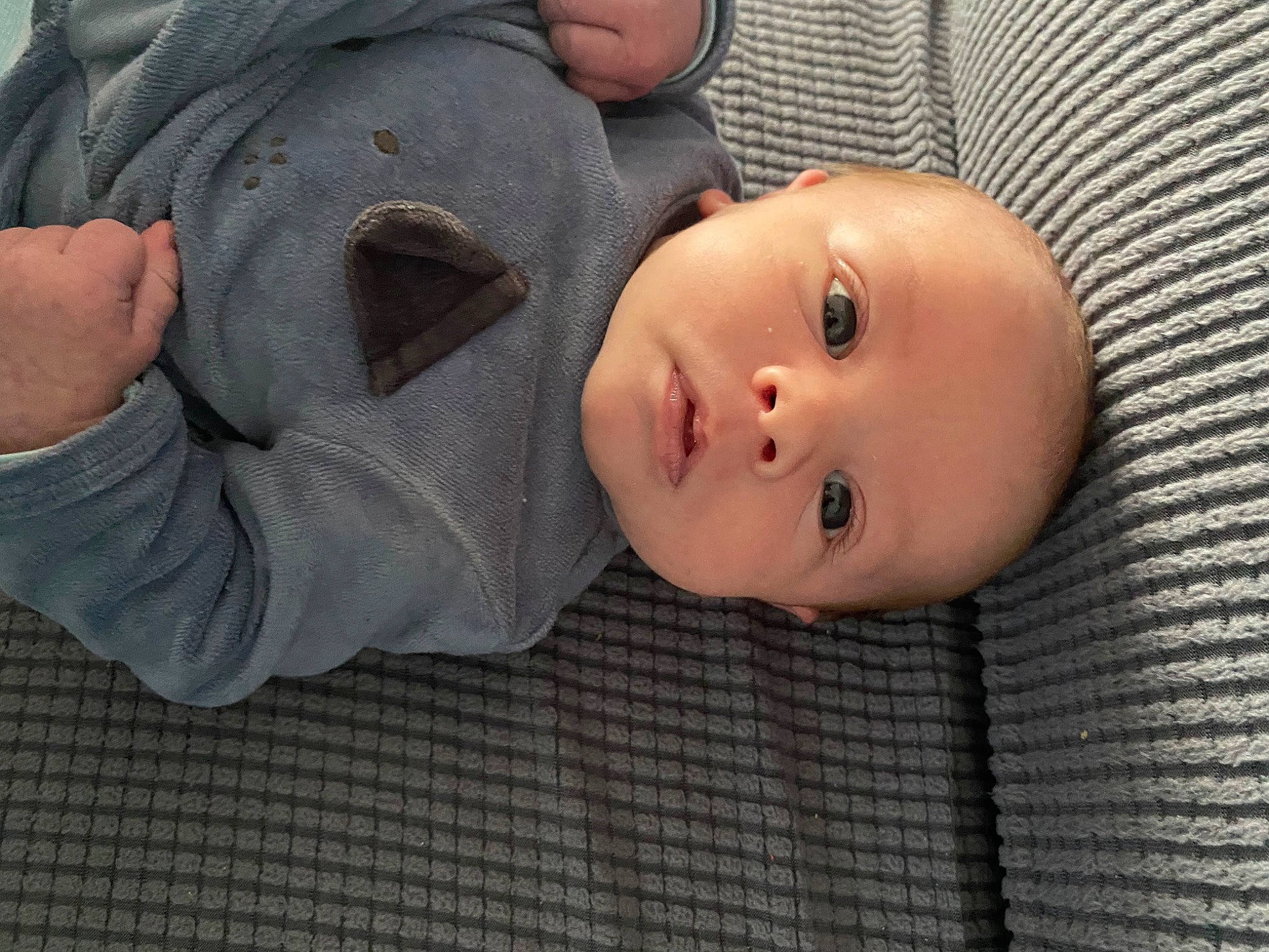 Maxence participe au concours pour gagner de l&#x27;argent avec cette photo : baby, baby_toddler_clothing, cheek, child, comfort, fur, gesture, grass, iris, linens, lip, nose, pattern, person, portrait_photography, sitting, skin, sleeve, toddler, tree