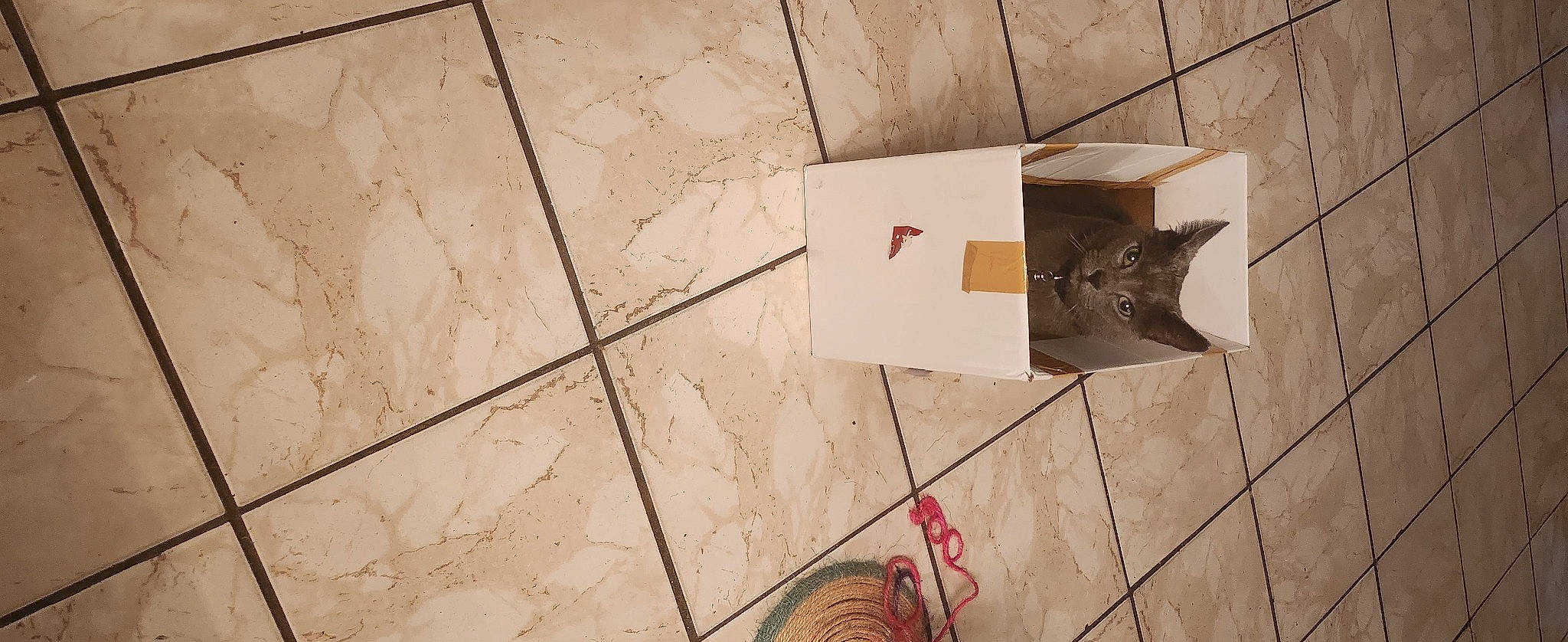 Gribouille participe au concours pour gagner de l'argent avec cette photo : art, beige, brick, brown, carmine, concrete, design, floor, flooring, font, hardwood, leaf, material_property, pattern, plywood, rectangle, road_surface, wire, wood, wood_stain