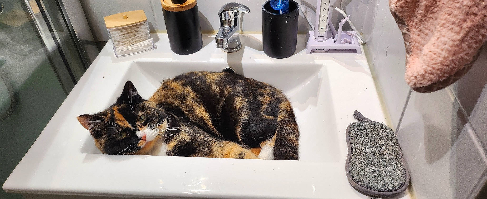 Isis participe au concours pour gagner de l'argent avec cette photo : bathroom, carnivore, cat, comfort, domestic_short_haired_cat, drinkware, felidae, fur, home_appliance, kitchen_appliance, plant, plumbing, plumbing_fixture, room, salt_and_pepper_shakers, sink, small_to_medium_sized_cats, tail, tap, whiskers