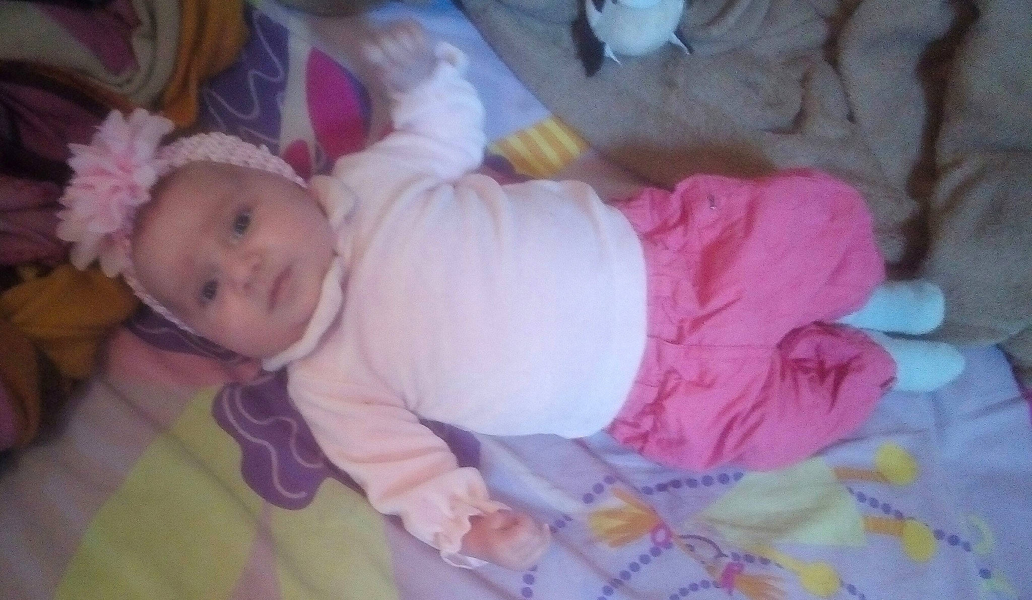 Lola a rejoint le concours — aidez-le/la à gagner de superbes lots ! baby, child, person, pink, toddler