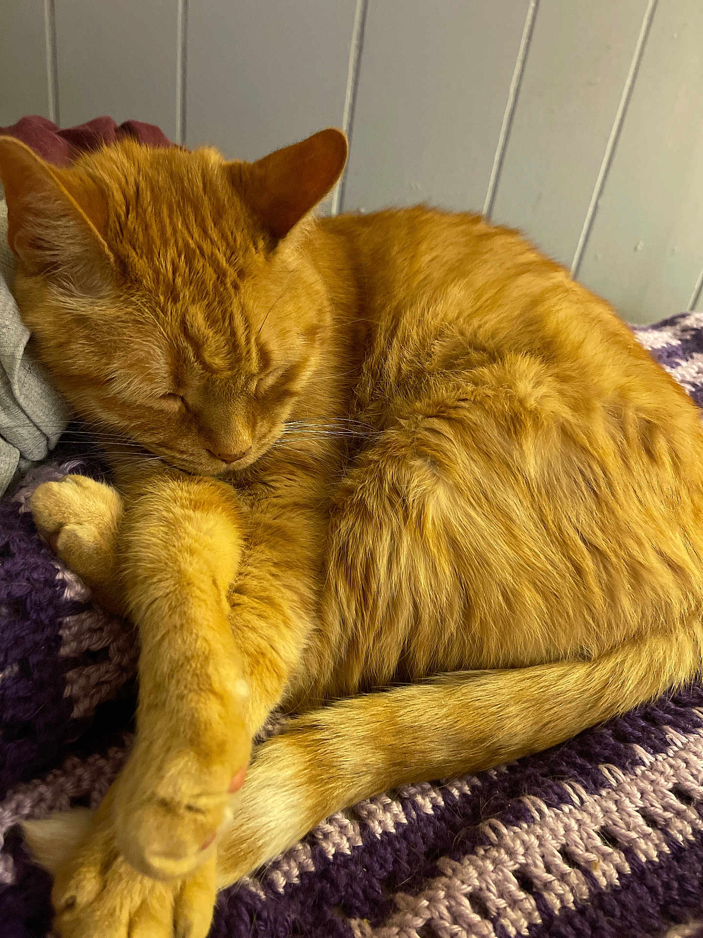 Garfield