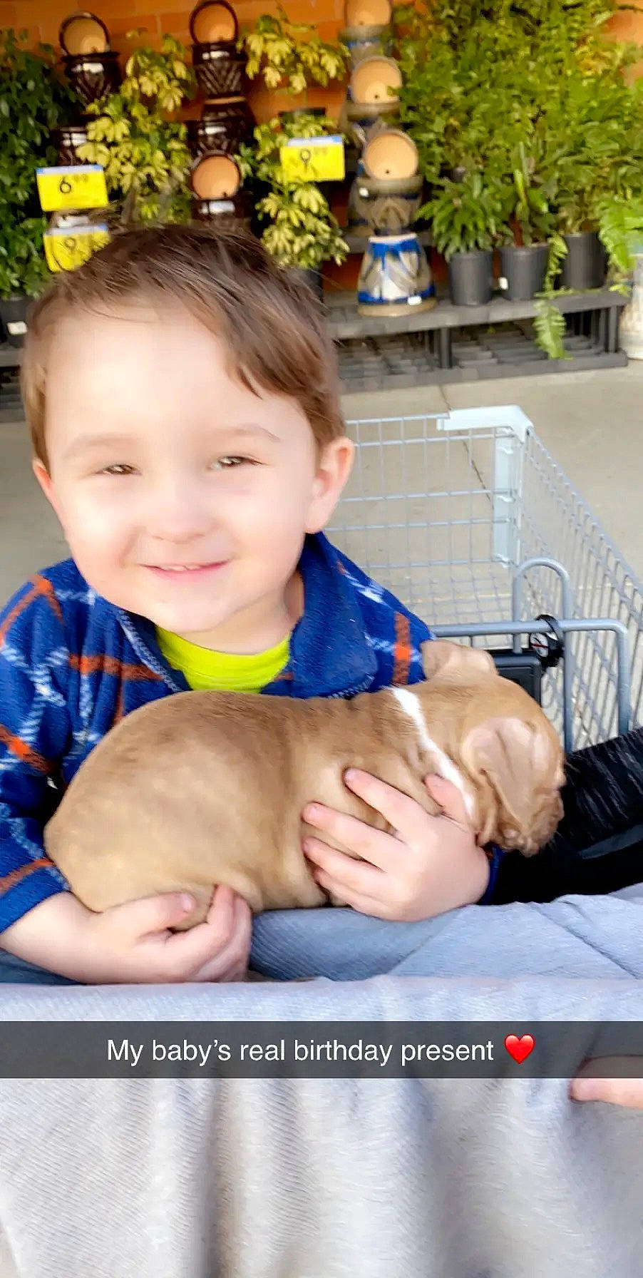 Dalton is registered to the contest to win money with this photo: baby, child, fawn, finger, joy, person, play, product, sitting, toddler