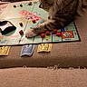cat, tabby_cat, monopoly_board, board_game, red_houses, dice, monopoly_money, couch, furniture, indoor, game_night, pet, paw, strategy, tabletop, brown, cozy, closeup, playing, relaxing