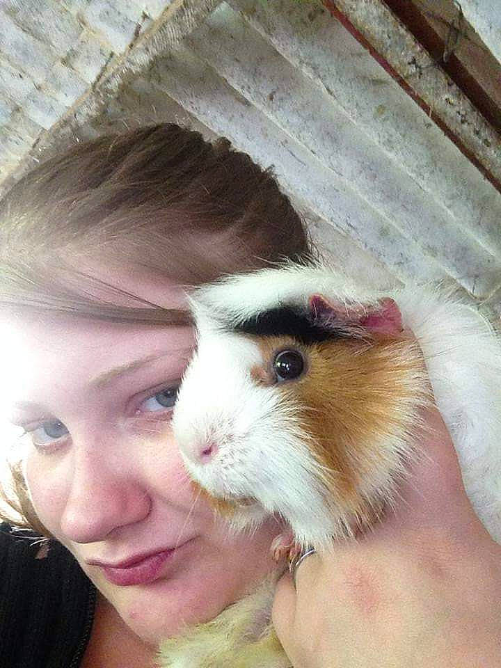 Kyo participe au concours pour gagner de l'argent avec cette photo : ear, fauna, fur, gerbil, guinea_pig, hamster, mammal, person, rodent, snout, whiskers