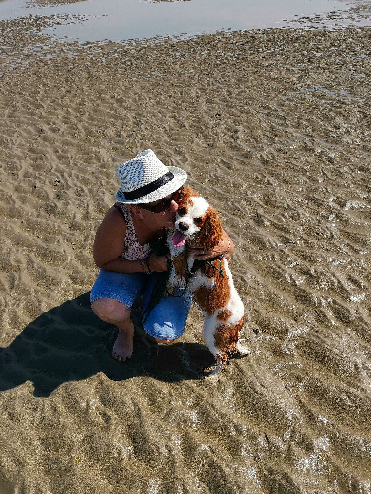 Lidzy a rejoint le concours — aidez-le/la à gagner de superbes lots ! beach, canidae, carnivore, companion_dog, cowboy_hat, dog, dog_breed, fawn, fedora, hat, holiday, mammal, people_on_beach, sand, sporting_group, summer, sun_hat, vacation, vertebrate, working_dog