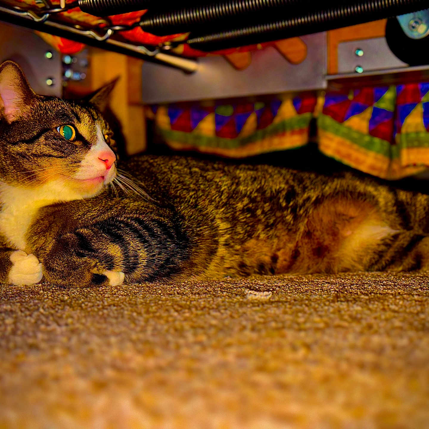 Dewey