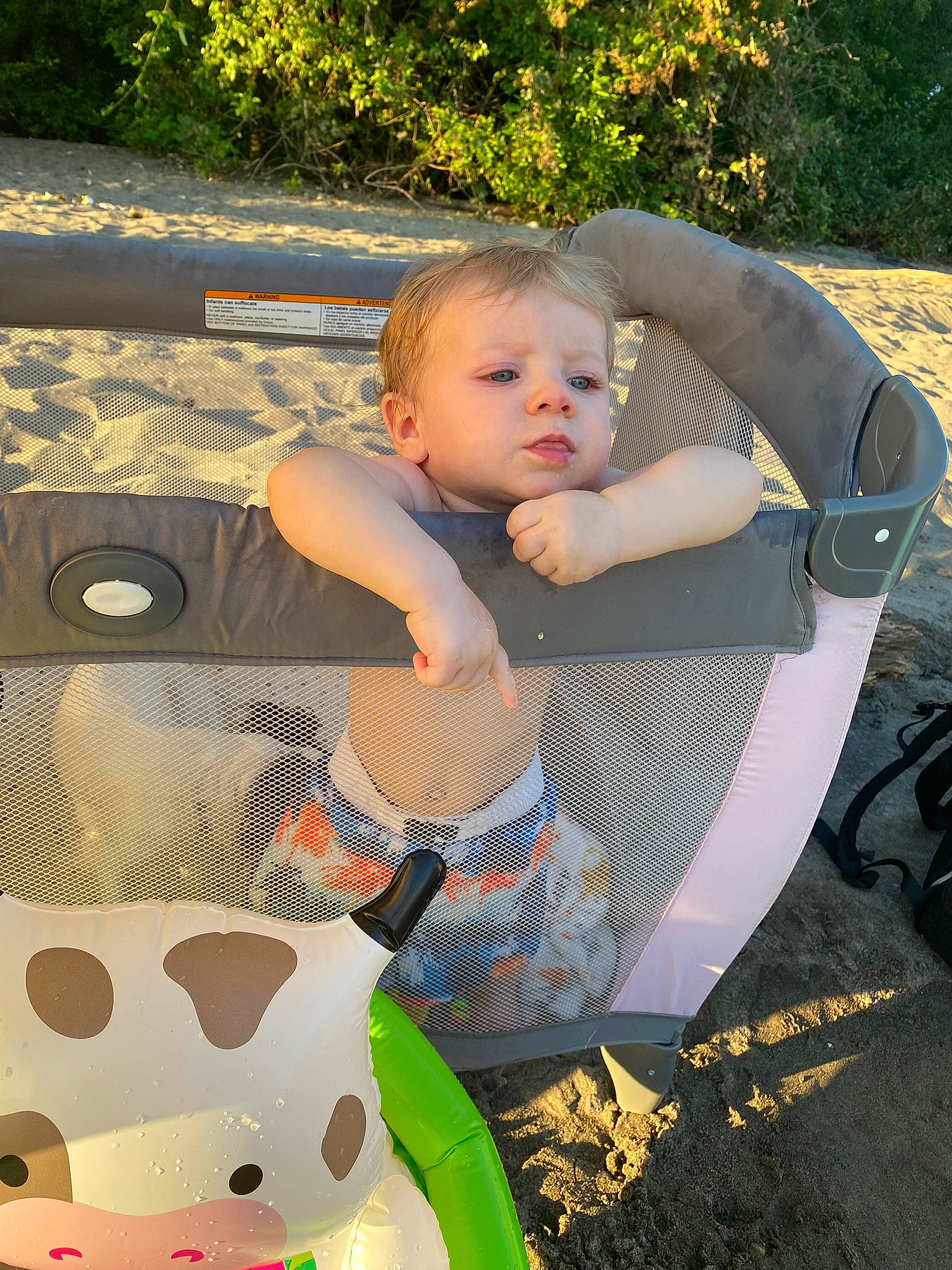 Maverick joined the competition — help win amazing prizes! arm, baby, baby_carriage, chair, fun, grass, hairstyle, happy, leaf, leisure, outdoor_furniture, people_in_nature, person, plant, product, recreation, summer, sunlight, tints_and_shades, toddler