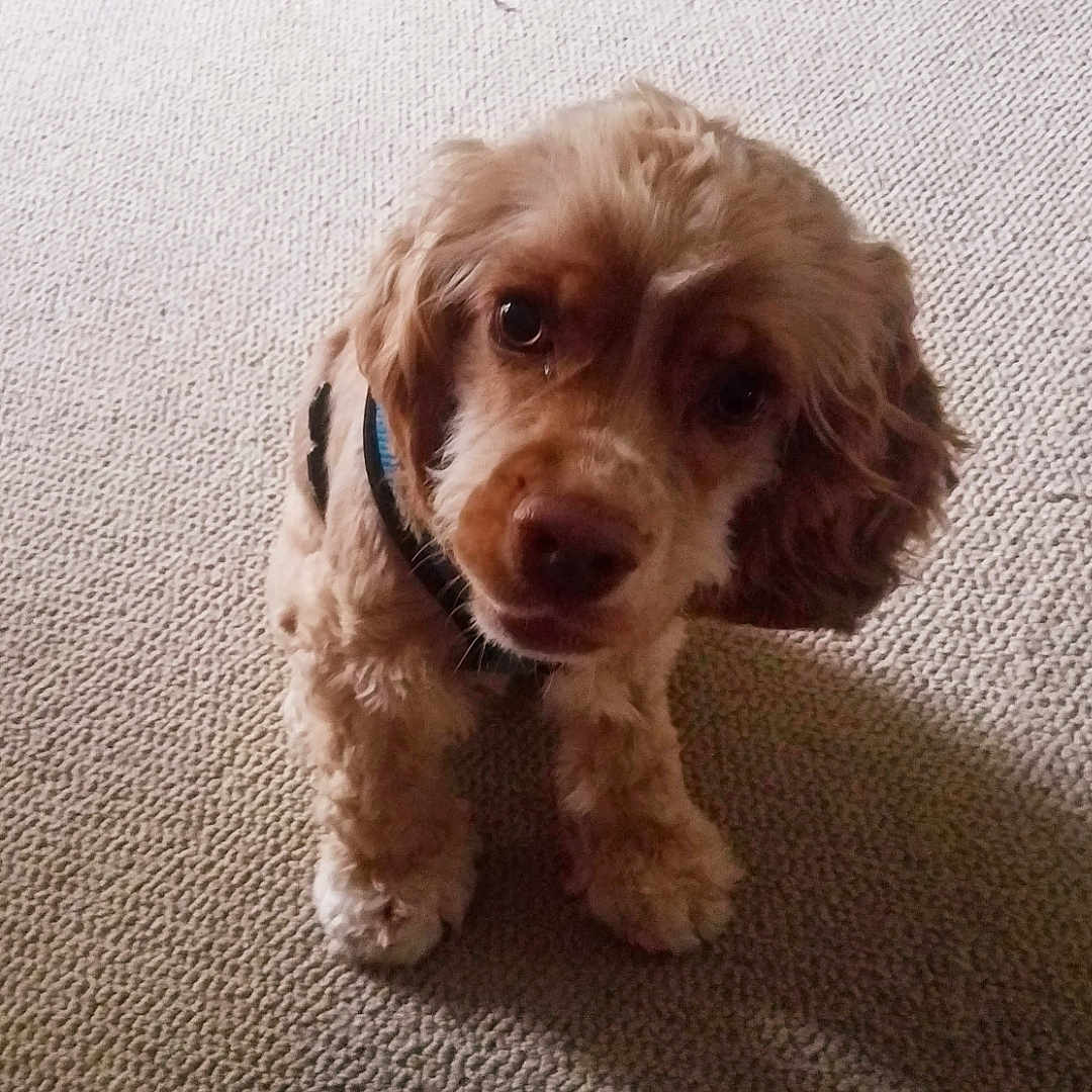 Charlie