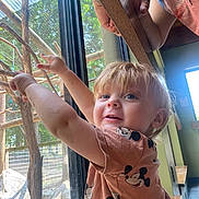 Carson is registered to the contest to win money with this photo: accessories, animal, arbour, architecture, arm, baby, backyard, blonde, bodypart, brick, brush, building, butterfly, city, climbing, clothing, cream, dessert, device, diningtable
