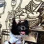 Luna is registered to the contest to win money with this photo: dog, puppy, black_and_white, fluffy, shirt, bow, happy, tongue_out, mural, skeleton, drawing, wall_art, hand, pet, cute, smiling, collar, tag, outdoor, portrait