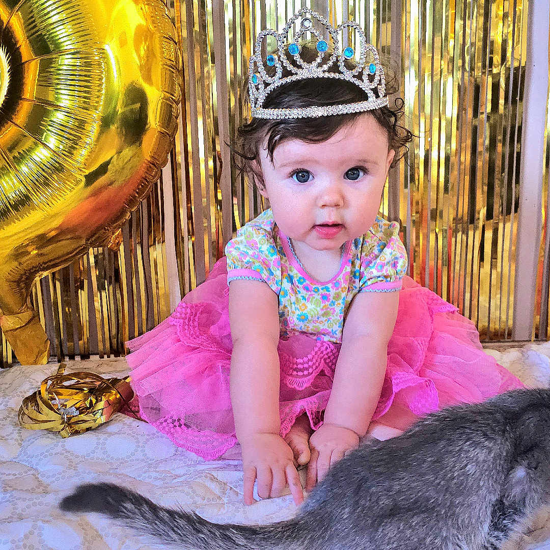 Freyjarose is registered to the contest to win money with this photo: baby, balloon, blanket, celebration, child, curly_hair, cute, decorations, floor, girl, gold_balloon, gold_streamers, gray_cat, indoor, kitten, party, pet, pink_tutu, tiara, tulle_skirt