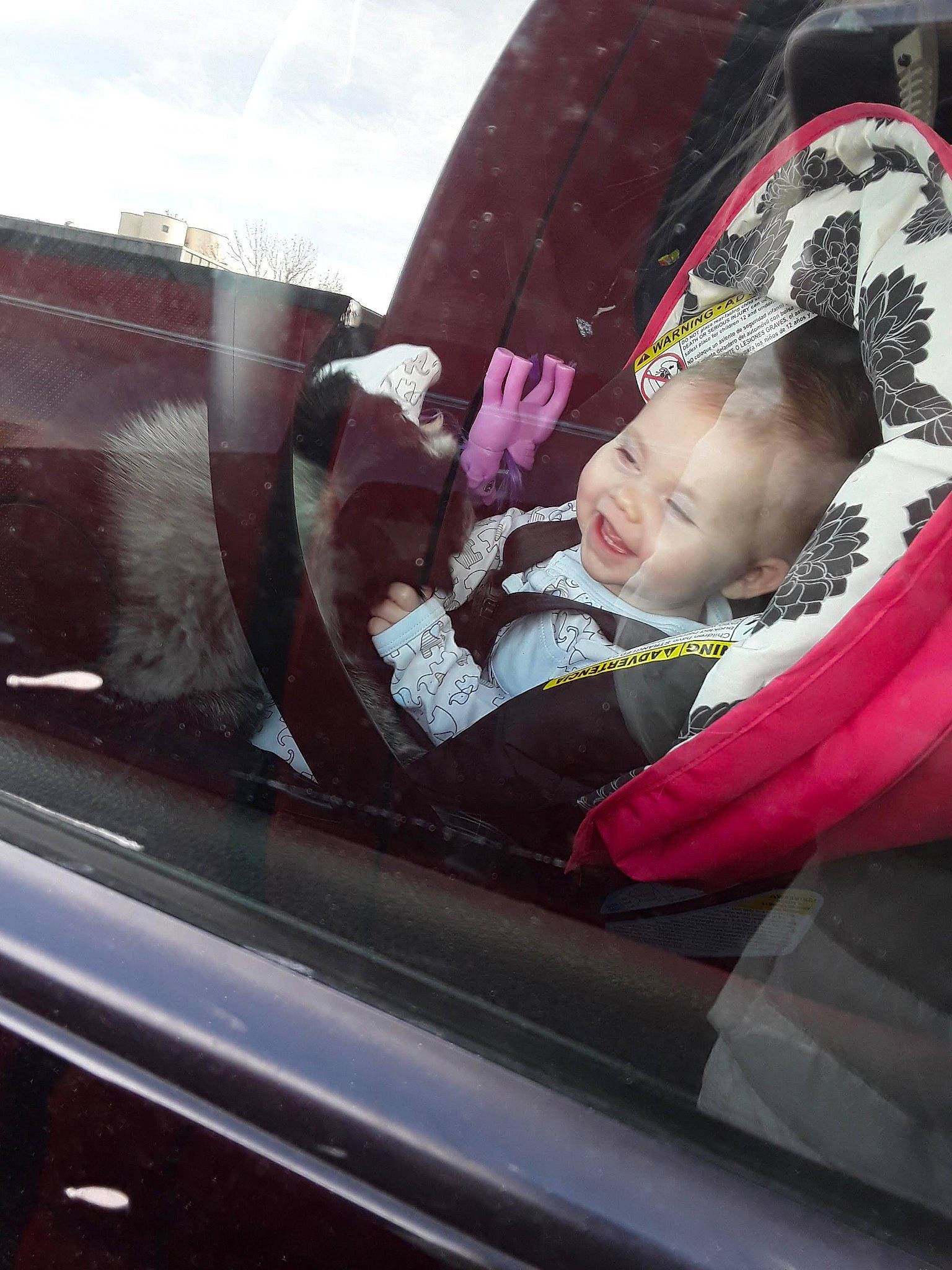 Lunarose is registered to the contest to win money with this photo: automotive_window_part, car, joy, person, vehicle, vehicle_door