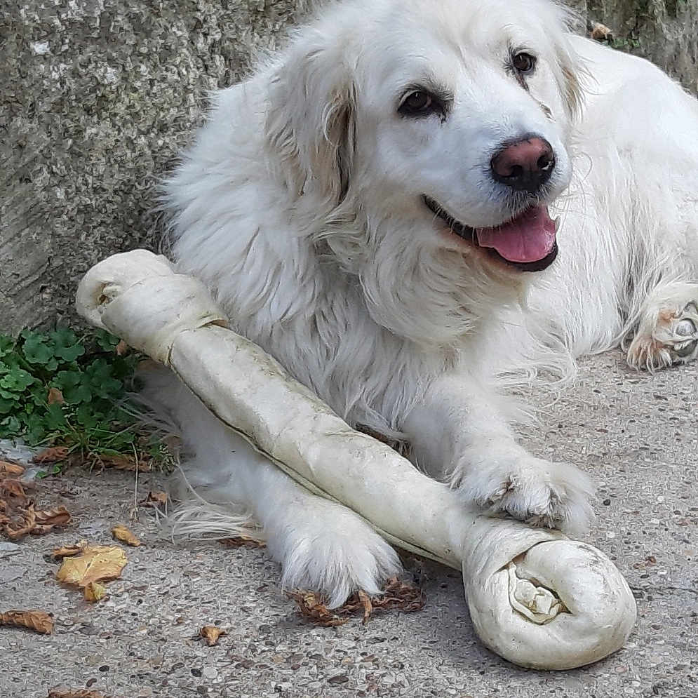 Marley