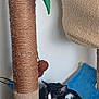 cat, black_and_white, cat_tree, scratching_post, blue_hammock, indoor, pet, feline, resting, relaxed, rope, felt_leaves, toy_ball, animal, household, wood_floor, corner, wall, ears, whiskers