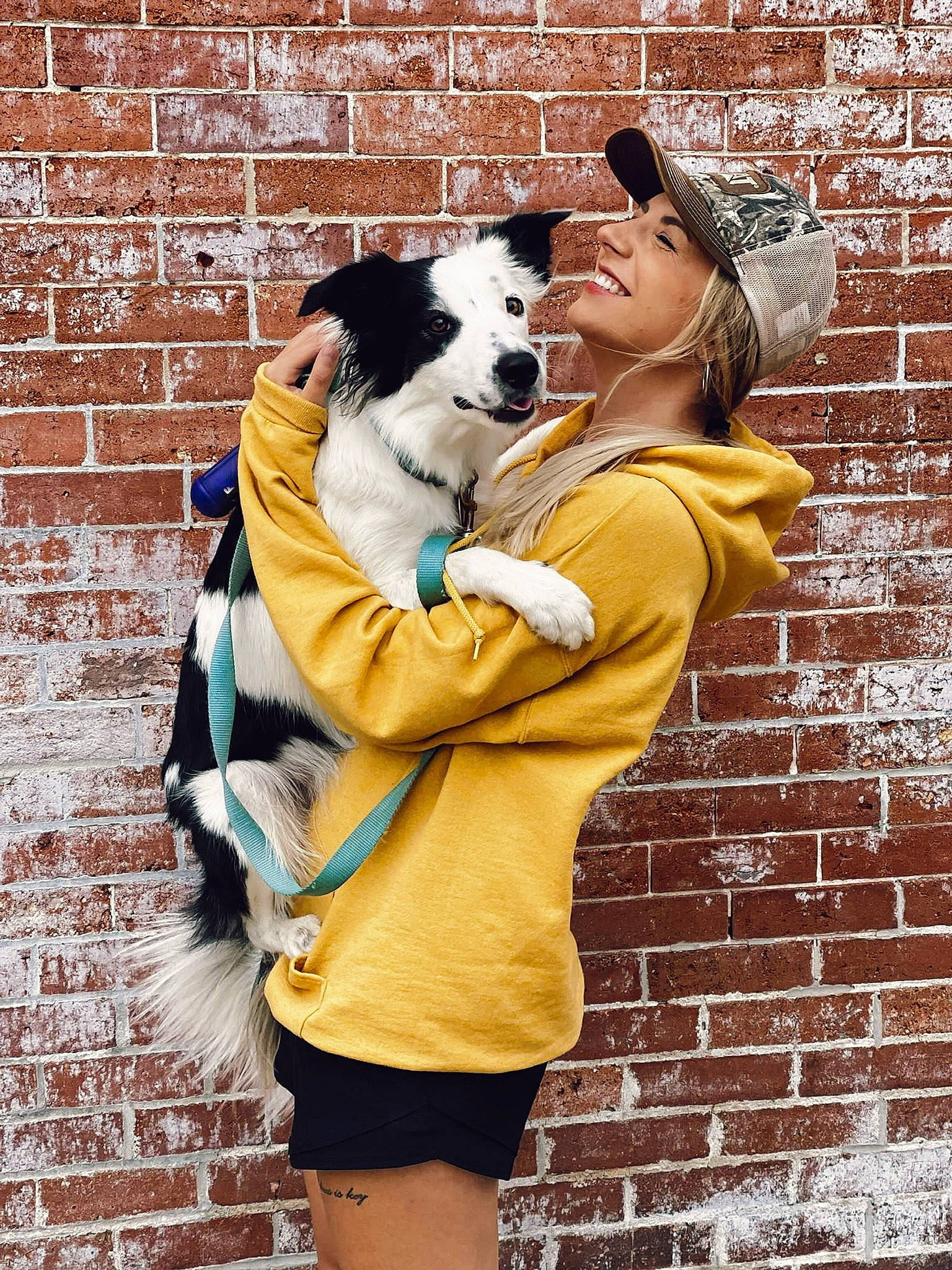 Cardi is registered to the contest to win money with this photo: border_collie, brick, brickwork, building, canidae, carnivore, companion_dog, dog, dog_breed, fawn, fun, fur, happy, hat, herding_dog, human_leg, photograph, snout, sporting_group, thigh