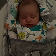 Reid is registered to the contest to win money with this photo: baby, sleeping, infant, onesie, animal_print, blanket, baby_seat, cozy, cute, child, face, head, indoor, pattern, soft, peaceful, rest, toddler, young_child, comfort