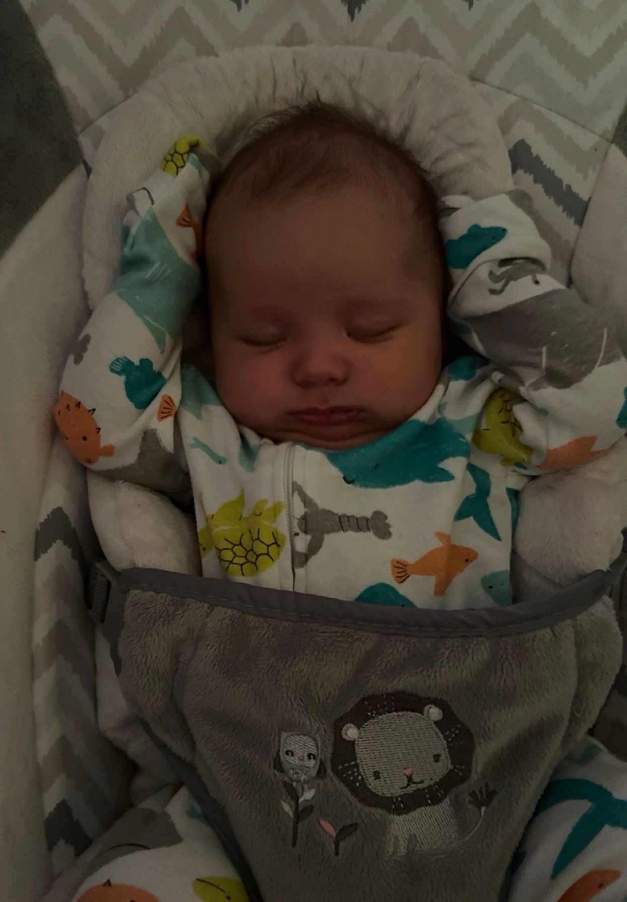 Reid is registered to the contest to win money with this photo: baby, sleeping, infant, onesie, animal_print, blanket, baby_seat, cozy, cute, child, face, head, indoor, pattern, soft, peaceful, rest, toddler, young_child, comfort