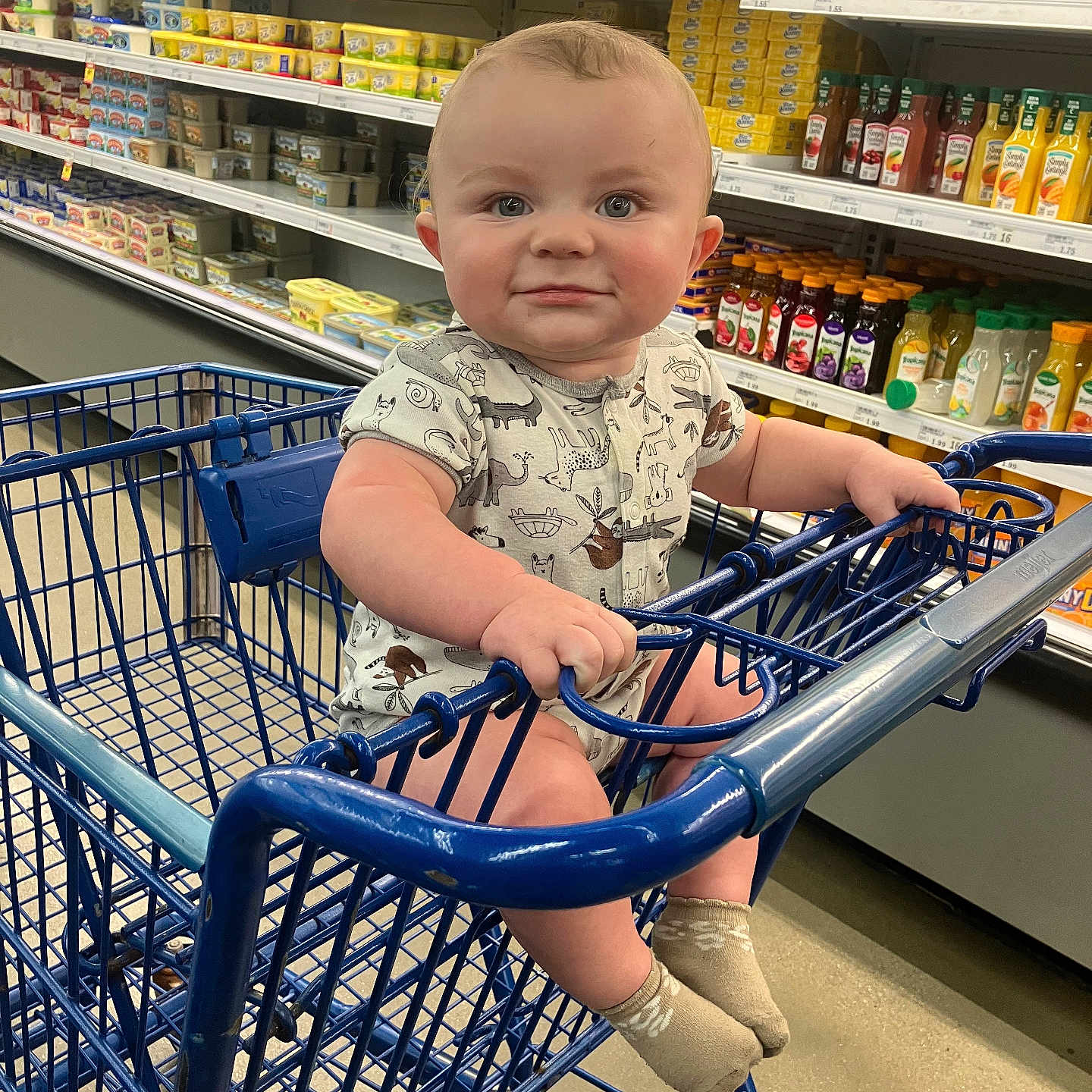 Daniel is registered to the contest to win money with this photo: aisle, baby, basket, clothing, face, footwear, glove, grocerystore, head, indoors, market, person, photography, portrait, shelf, shoe, shop, shopping, shoppingcart, supermarket