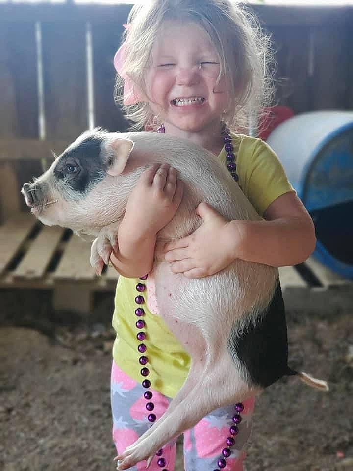 Raelynn joined the competition — help win amazing prizes! canidae, carnivore, companion_dog, dog, dog_breed, fawn, joy, mammal, non_sporting_group, person, pit_bull, puppy_love, vertebrate