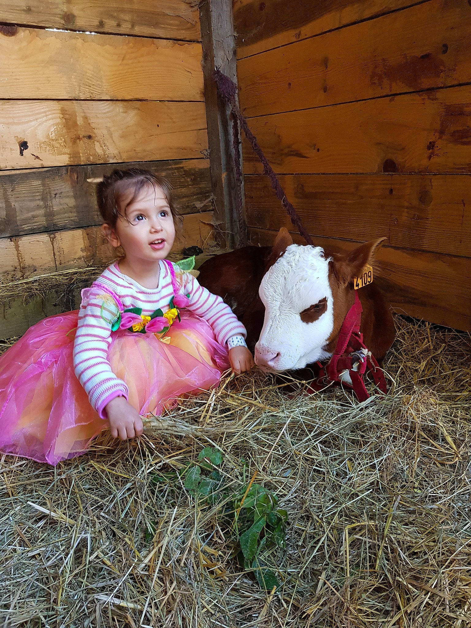 Jade a rejoint le concours — aidez-le/la à gagner de superbes lots !