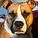 Sampson