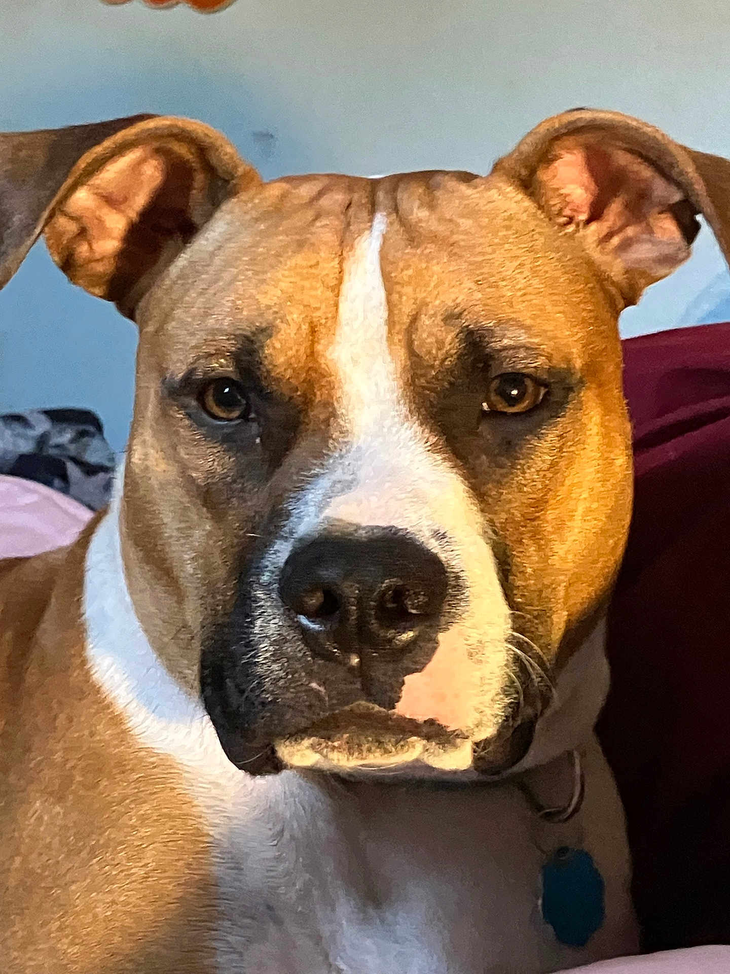 Sampson