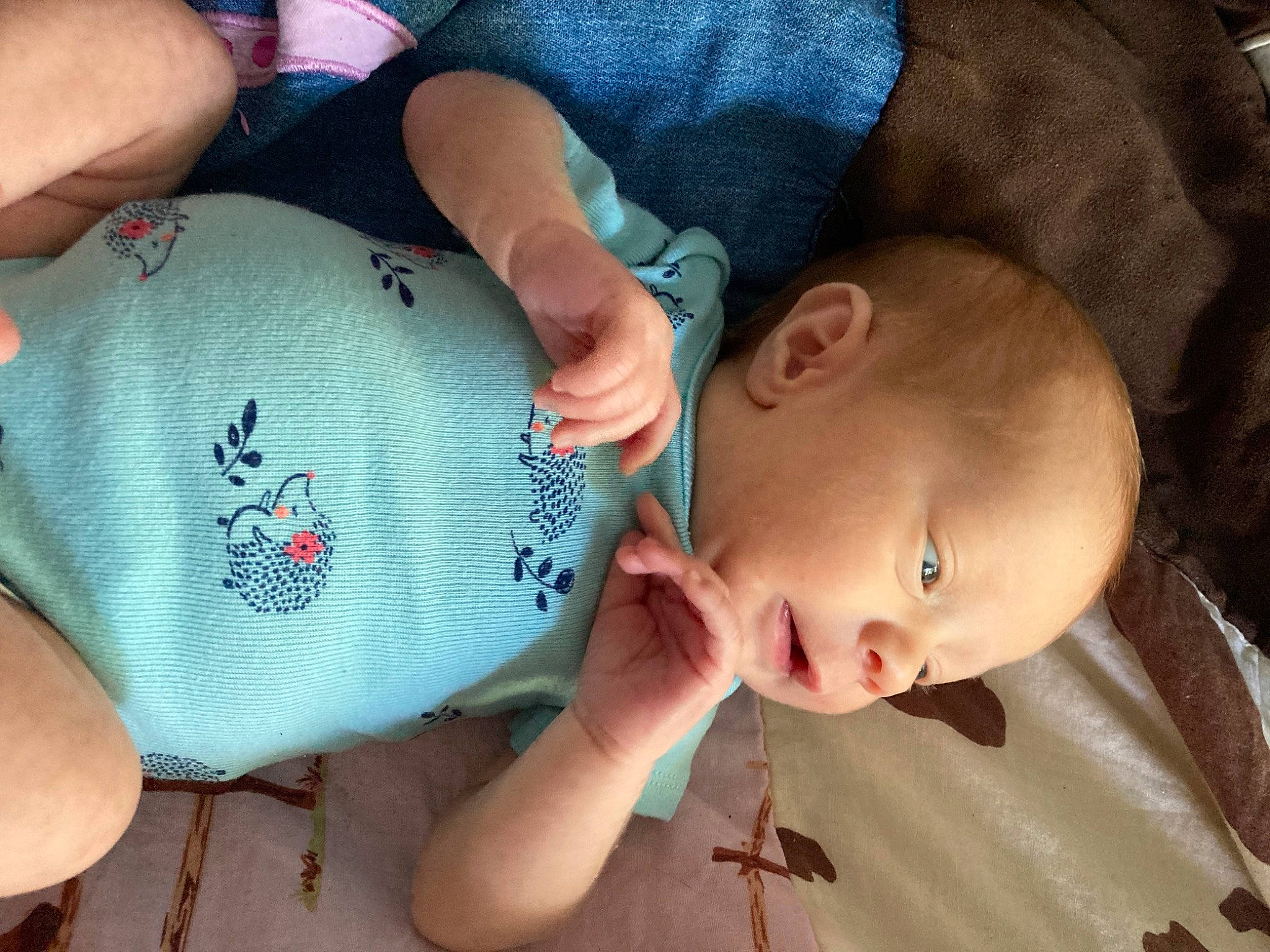 Alivia joined the competition — help win amazing prizes! baby, baby_products, baby_toddler_clothing, cheek, child, comfort, elbow, eyelash, finger, gesture, hand, happy, mouth, nail, nose, person, skin, smile, thumb, toddler